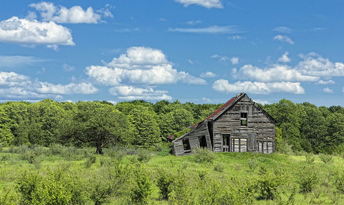 old overgrown farmhouse antique decay greens naturalcolors beautifulspringday cloudsinthesky timeforgotten