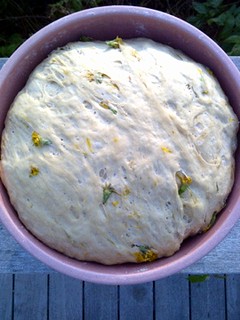 highdeas in cooking: dandelion bread