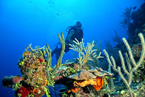 Bahamas