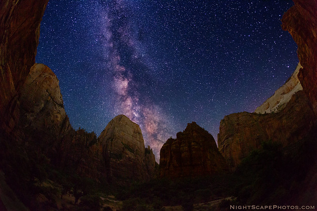 Starry Canopy over Big Bend, Zion Canyon