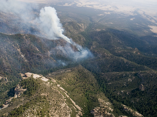 newmexico may 2012 aerialphotograph gilanationalforest whitewaterbaldycomplex interiorfireeffects