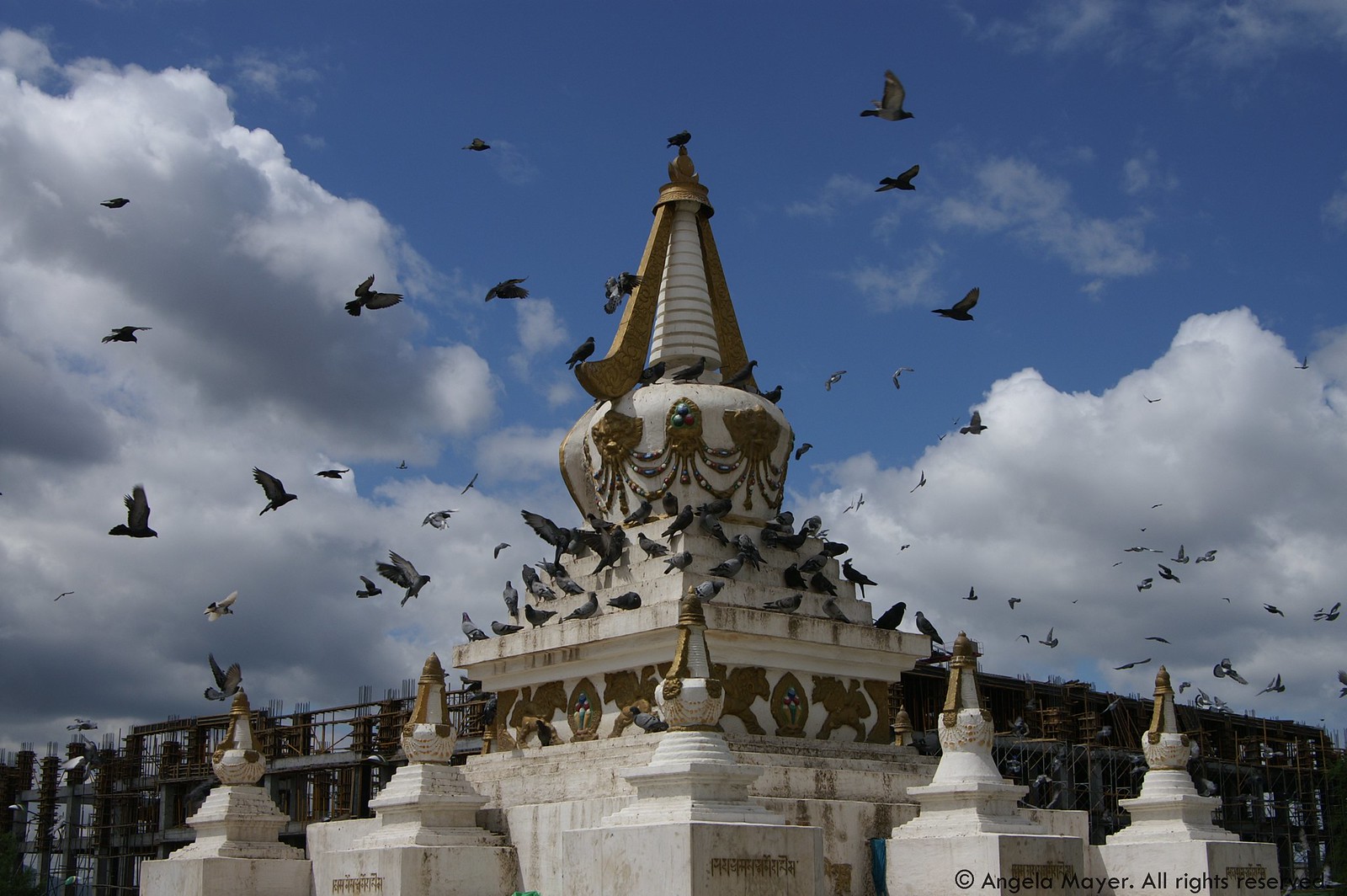 Stupa with Pigeons
