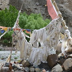 6  Ladakh Markha-vallei