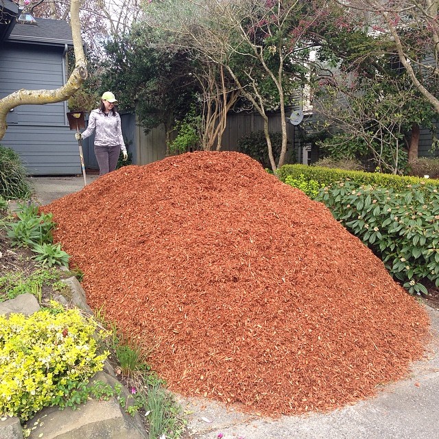 Yeah so we got 10 yards of cedar wood chips delivered to our house today. For the record, that's a lot of damn chips. We nearly died spreading them around the property. A couple of shovels, two 5 gallon buckets and wheelbarrow can do a lot if you like man