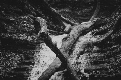 wood blackandwhite nature monochrome landscape waterfall woods pittsburgh pennsylvania pa foxchapel trilliumtrail pawaterfall westernpawaterfall