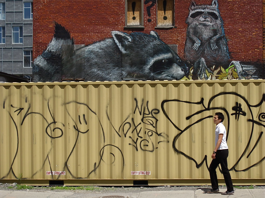 Beware the Racoons | Montréal | Alex L'aventurier, | Flickr
