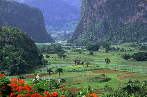 Vinales