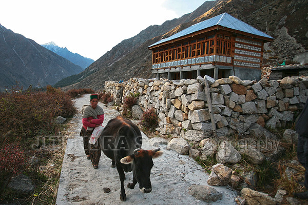 Chitkul : The last inhabited village near the Indo-Tibet border.