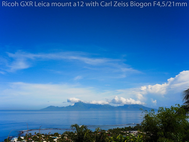 Ricoh GXR Leica mount a12 with Carl Zeiss Biogon f4,5/21 mm