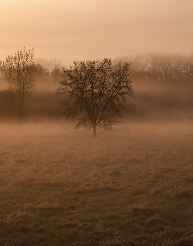 morning tree minnesota fog sunrise unitedstates mankato kasota jordanpowers