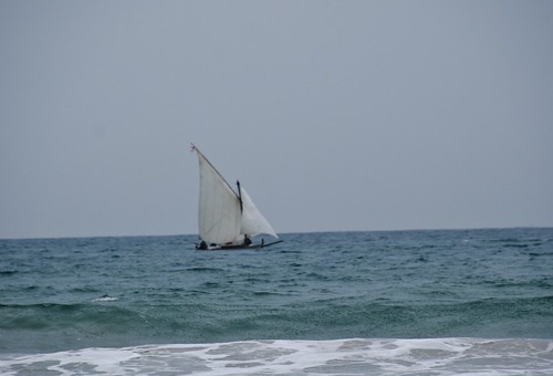 Passejada de les embarcacions de vela llatina