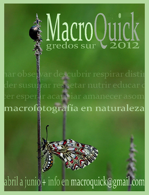 MacroQuick
