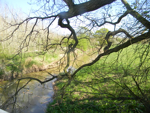 The Beult through a branch Staplehurst to Headcorn