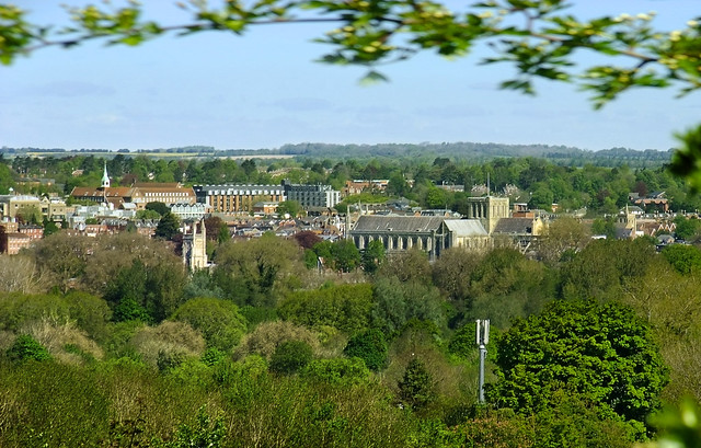 View of Winchester from Twyford Down