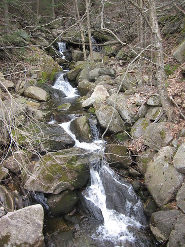 tree creek waterfall stream massachusetts newengland chester berkshires brook pioneervalley 040112 goldminebrookfalls