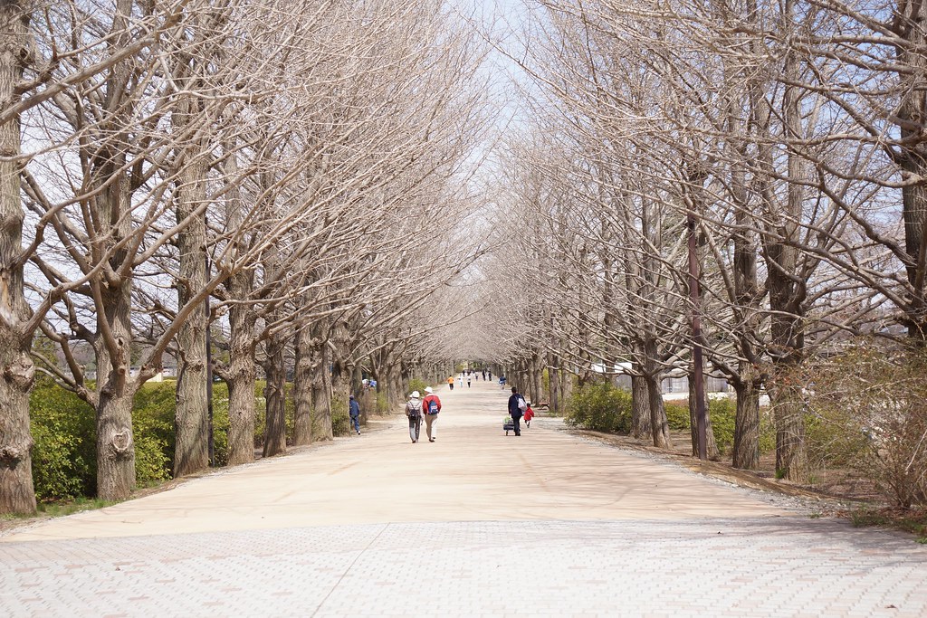 昭和 記念 公園