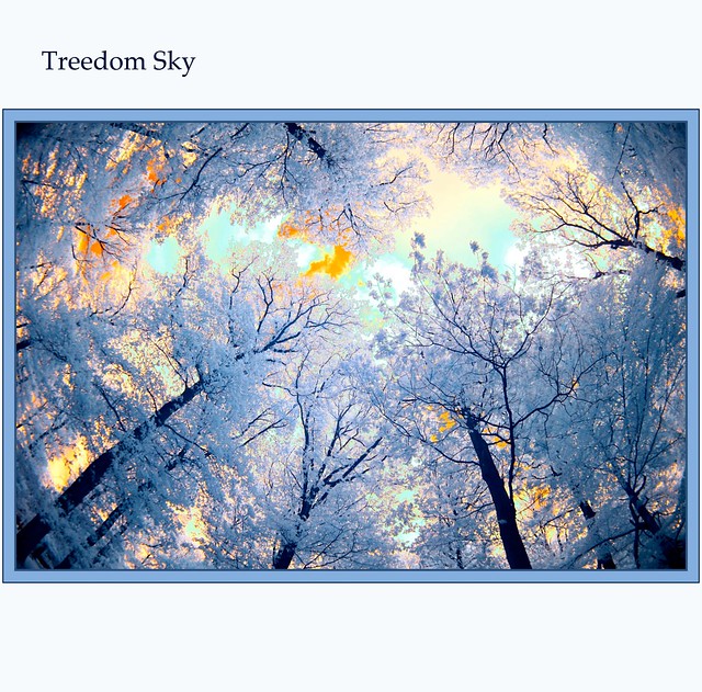 2012 05 16 Treedom Sky