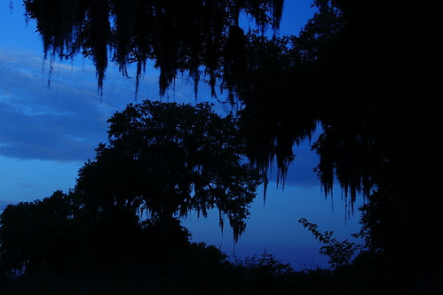 blue trees sunset sky cloud nature moss outdoor southcarolina spanishmoss tungsten mdggraphix