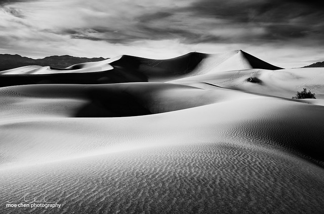 Mesquite Dunes, Black and White