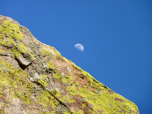 moon newmexico rock lichen