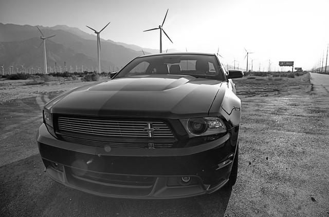 black Mustang GT 5.0