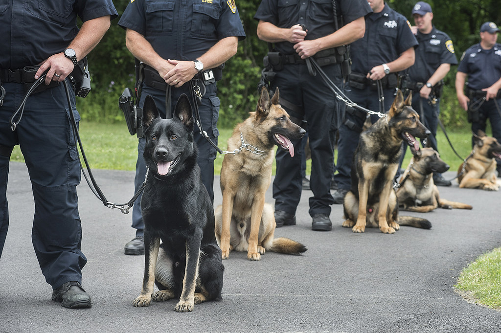 MTAPD Canine Training Facility | Police officers and officia… | Flickr