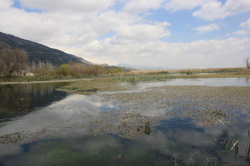 lebanon swamp wetland liban bekaa eastlebanon aamiqregion