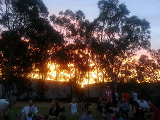 Oakleigh primary evening sports picnic