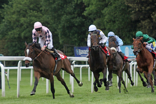 Chiberta King leads | by Arkle1
