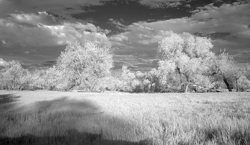blackandwhite landscape geotagged ir infrared bwlandscape