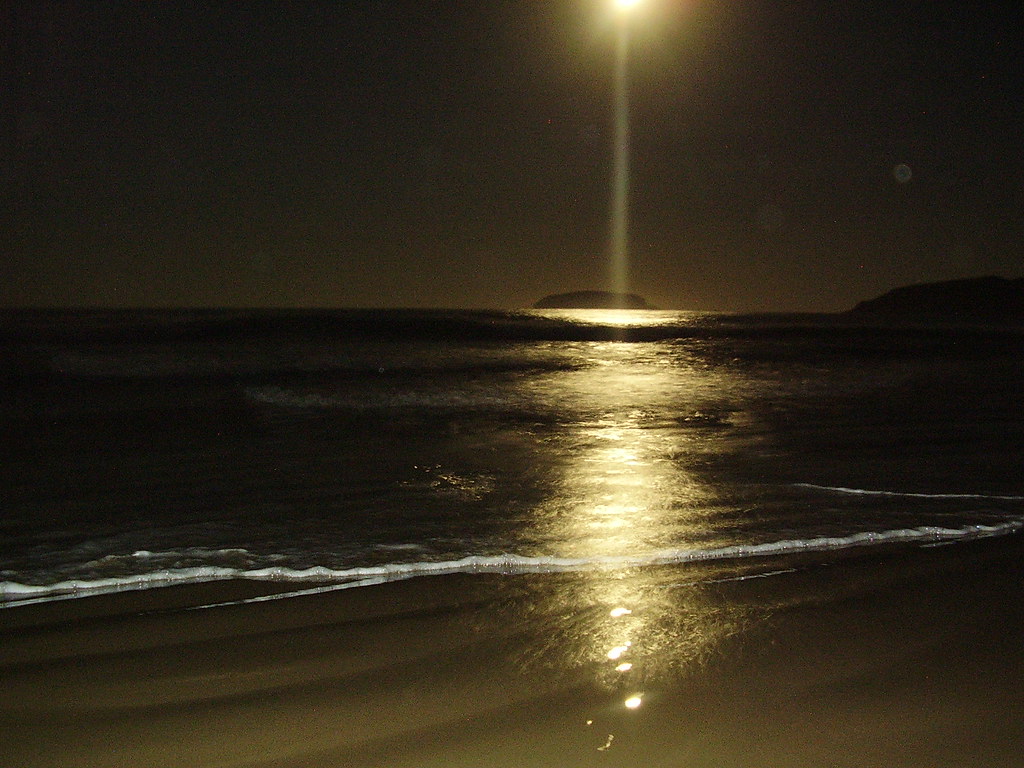 Night shot 1 | Sandy Beach, NSW, Australia. Fly to this loca… | Flickr