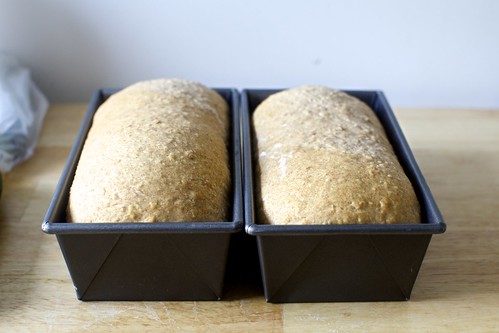 oat and wheat sandwich bread, ready to bake | by smitten kitchen
