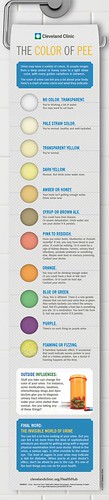 pee-infographic_12674179015_o | by Ken Ray Communications