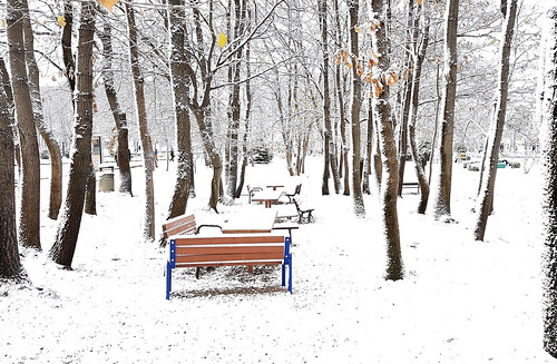 Sakarya Üniversitesi'nde Kış