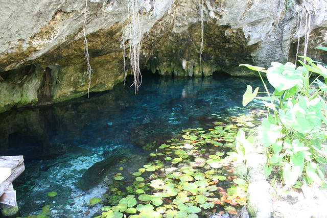 2012-04-29_Mexique-Tulum-Gran cenotes (3)