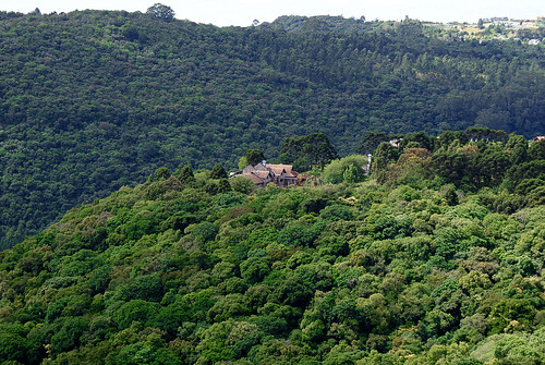 house mountain plant tree green brasil forest landscape geotagged hill serra a200 arimm geo:lat=2937787201396602 geo:lon=5086461796162416