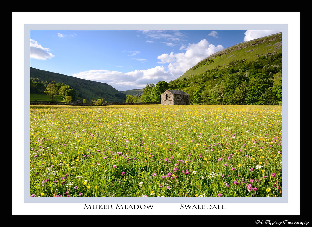 Muker Meadow. by Martin Appleby