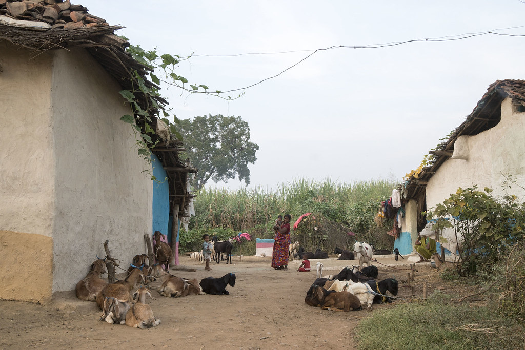 Rural village | Kawardha - Chhattisgarh - India | Wietse Jongsma | Flickr
