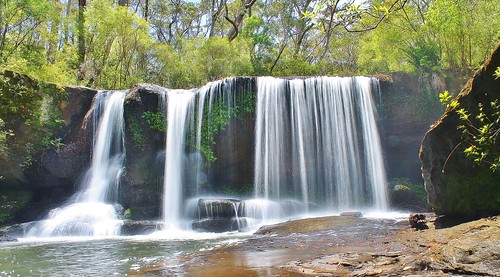 trees nature water beauty landscape waterfall log bush rocks natural relaxing australia nsw newsouthwales tranquil robertson pristine southernhighlands belmorefalls