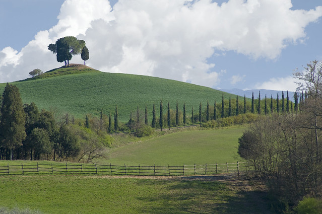 Consiglio di famiglia in cima alla collina - Family council on top of the hill (Tuscany, Italy)