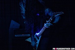 Wolves_In_The_Throne_Room_007 © by profilneurotiker.com Wolves_In_The_Throne_Room_007