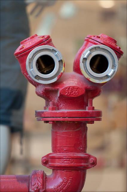 Jerusalem fire hydrant face