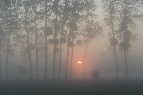 sun france saint fog sunrise iso100 bay soleil f56 michel mont brouillard brume lever montsaintmichel 120mm leverdesoleil baie vains bassenormandie 18200mmf3556 §§§§§ ¹⁄₁₈₀s nikond7000 lrrouge