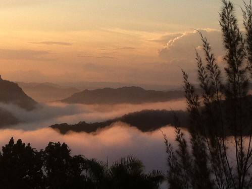 photo by Natureholic, 
