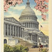 Washington, D.C. Postcards