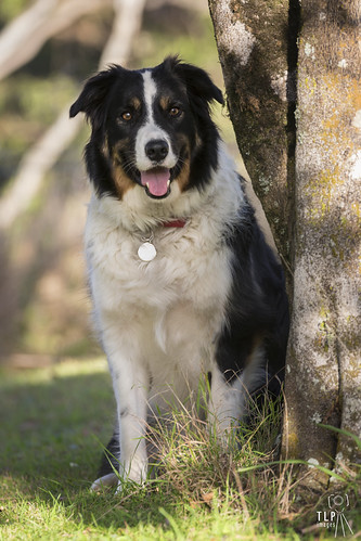 Max | by timlashbrook_photography