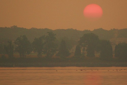 trees hot water birds sunrise maryland hazy havredegrace humid