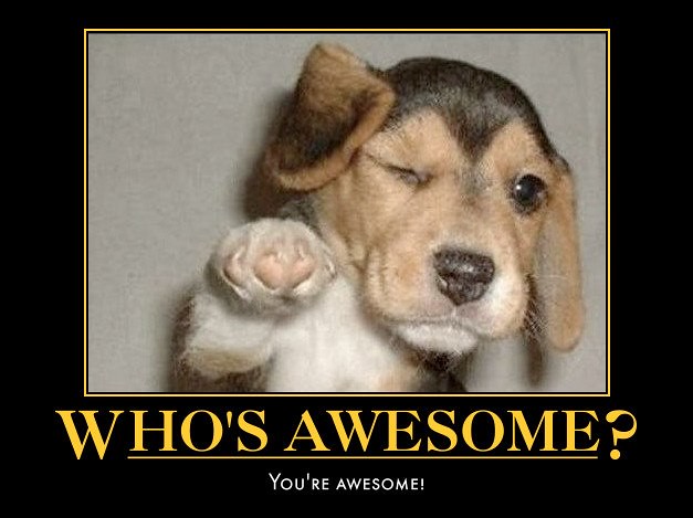 Who S Awesome You Re Awesome Not A New Meme But I Wante Flickr