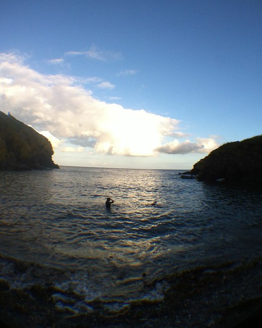 Evening Swim at Cadgwith Cove