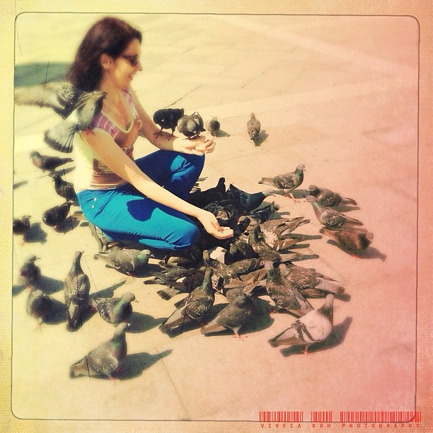 Feeding the Birds #iphone #iphoneography #italy #venice #venezia #birds #woman